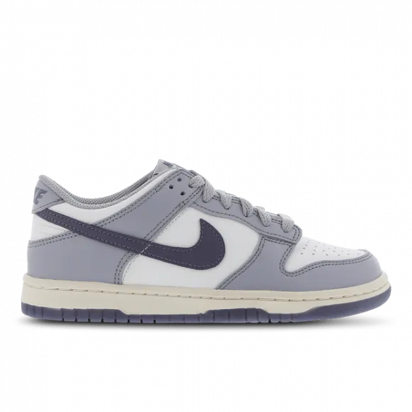 Nike Dunk Low Platinum Tint Light Carbon (GS)