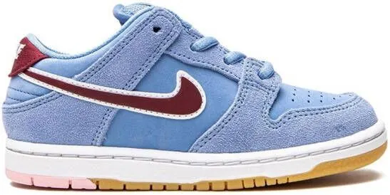 Nike Kids SB Dunk Low Pro 