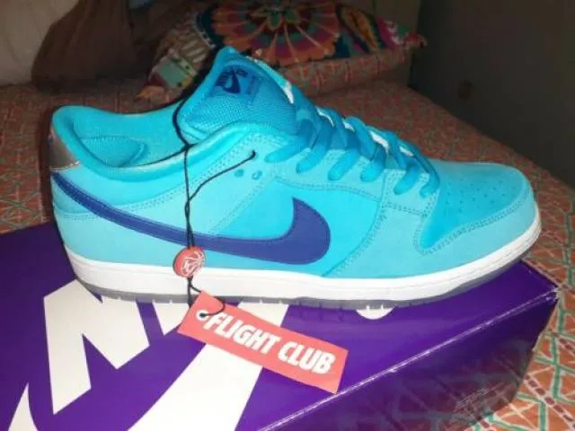 Nike sb dunk low pro  blue fury