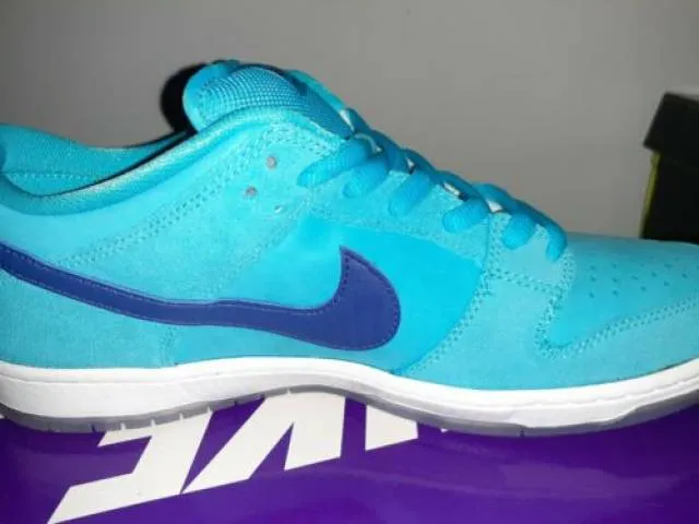 Nike sb dunk low pro  blue fury